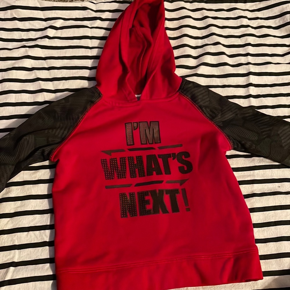 2T hoodie